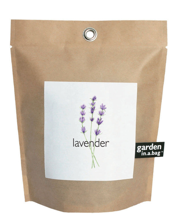Garden in a bag - lavender