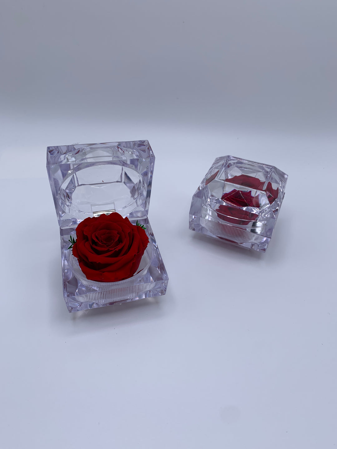 Mini jewel rose