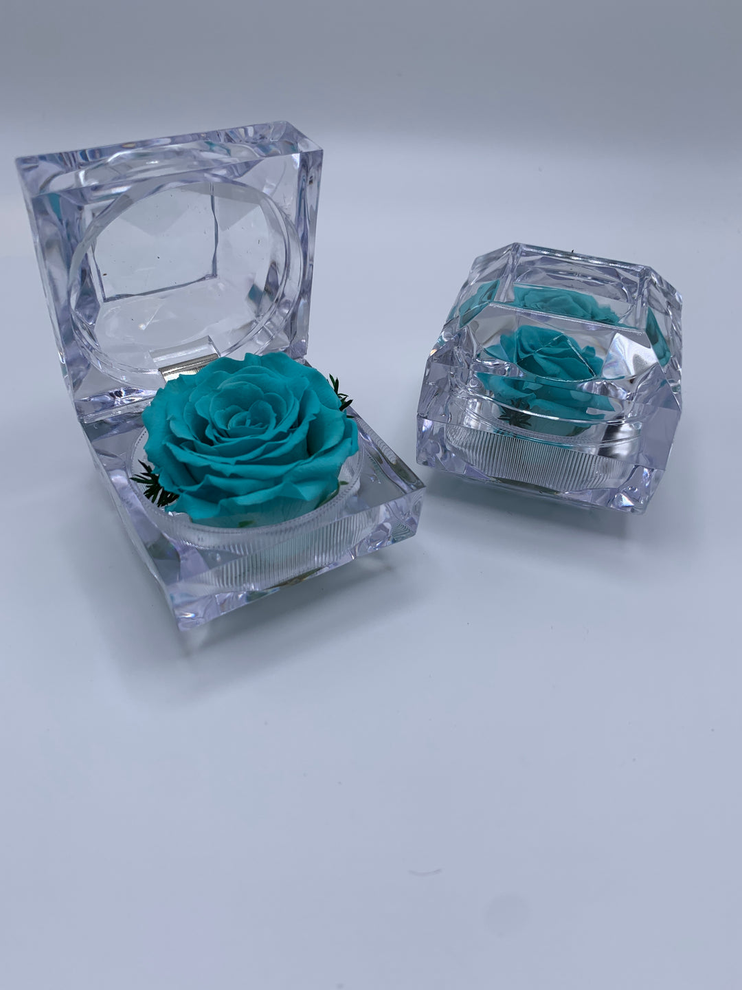 Mini jewel rose
