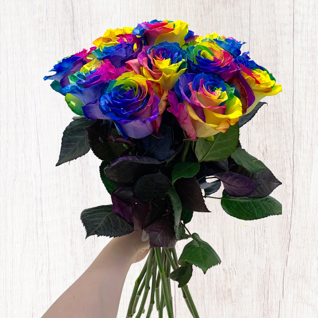 12 Roses - Arc-en-ciel