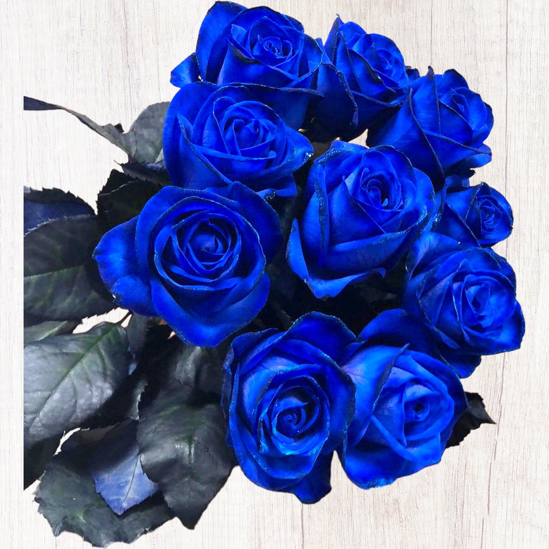6 Roses - Blue
