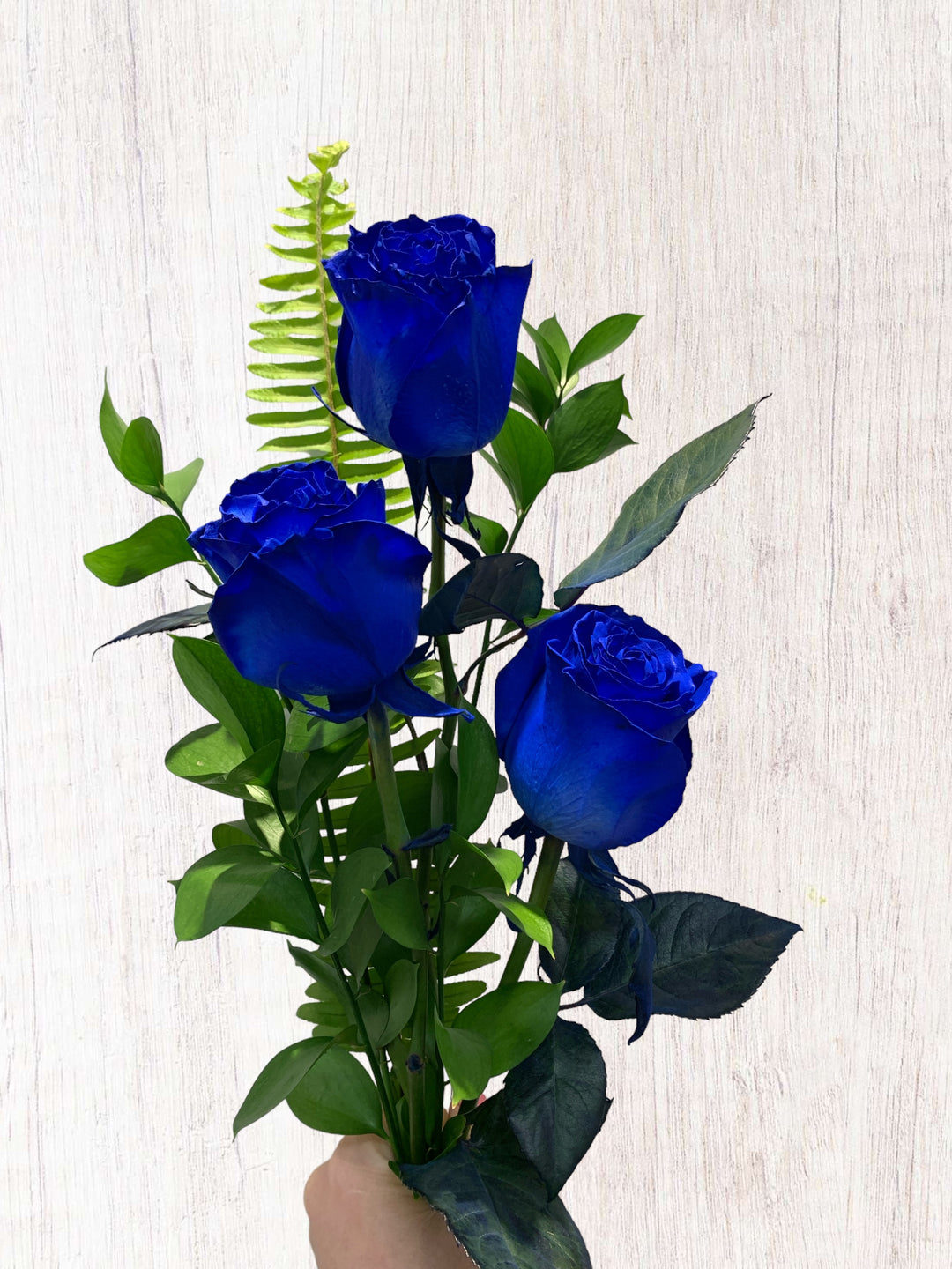 3 Blue Roses