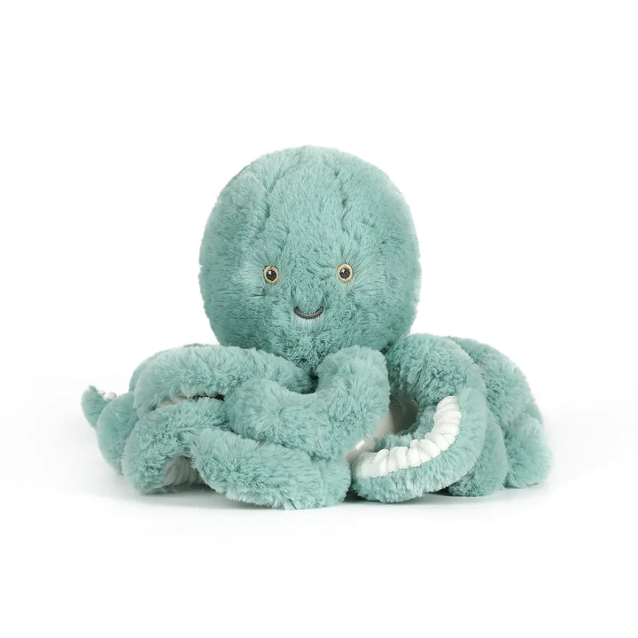 Little octopus