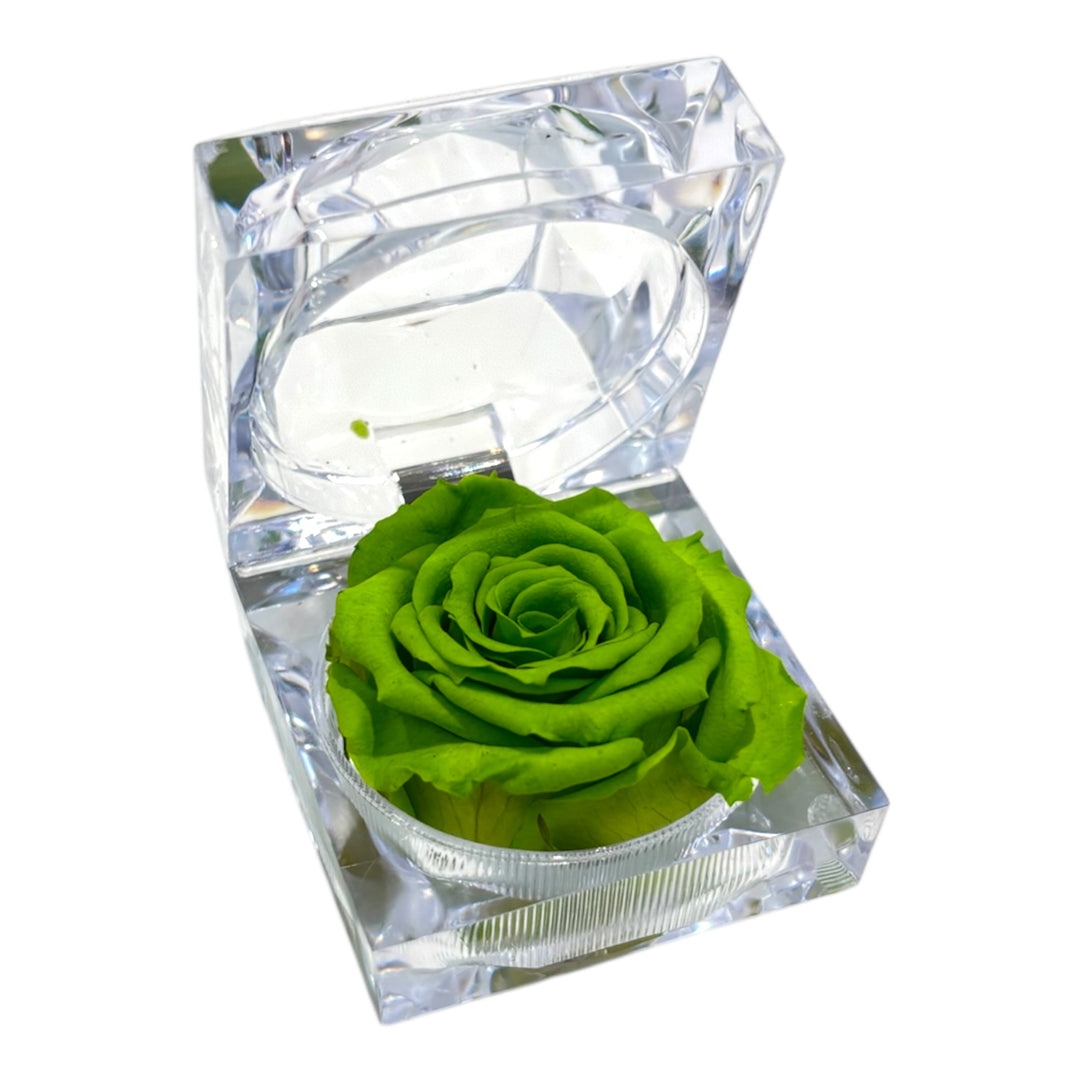 Mini jewel rose