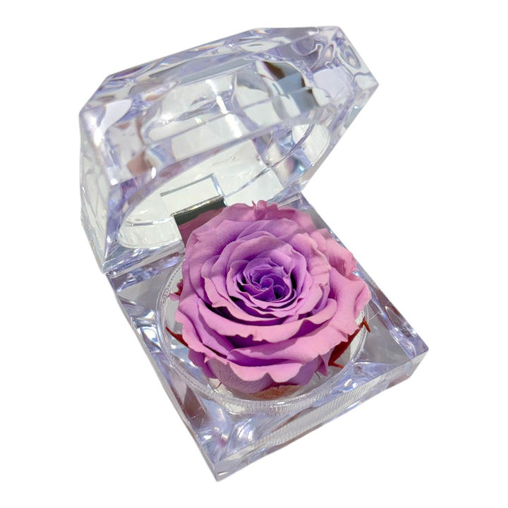 Mini jewel rose