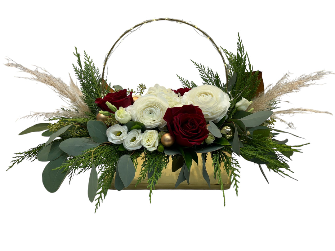 Harmonie de la lumière blanche - Rouge